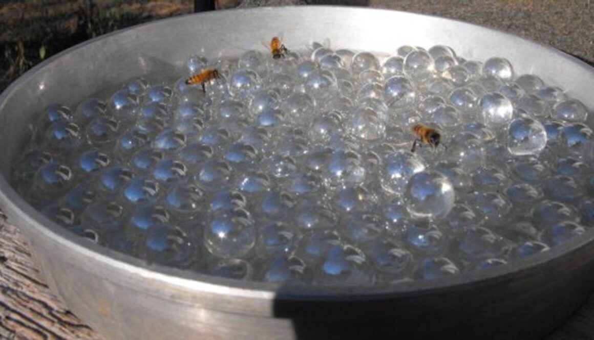 bees-water-pollen