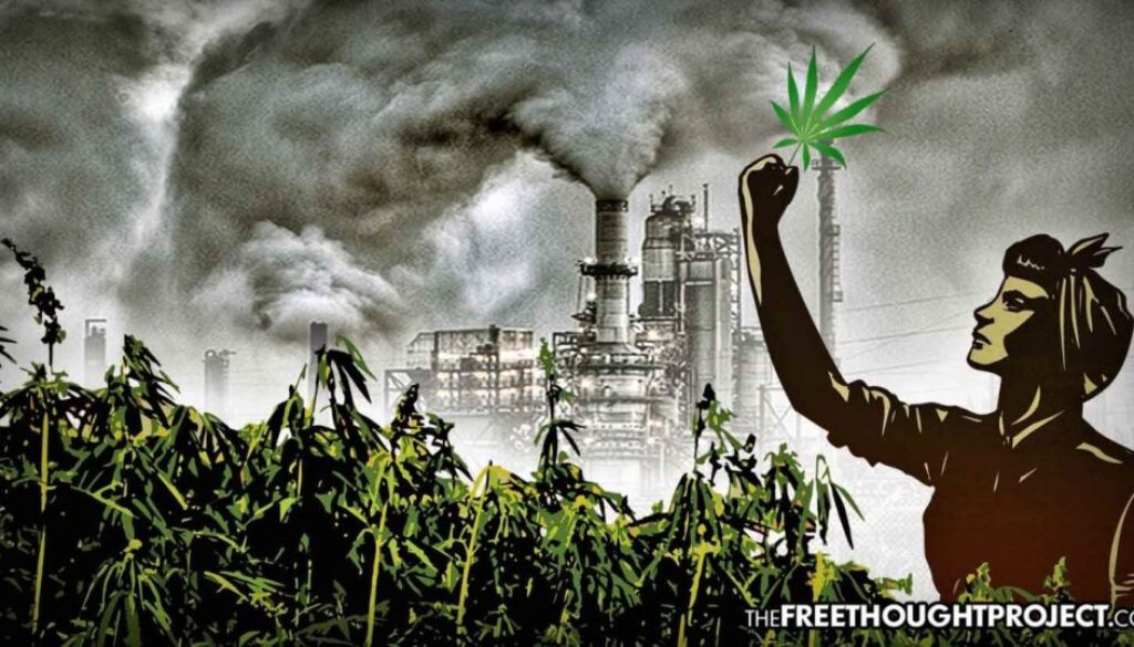 hemp-petro-chemical-1392x731