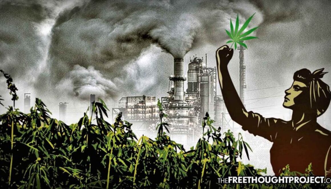 hemp-petro-chemical-1392x731