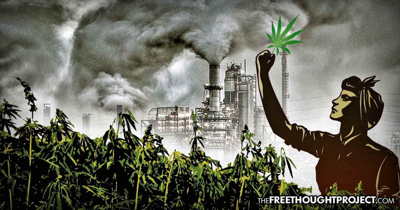 hemp-petro-chemical-1392x731 hemp-petro-chemical-1392x731