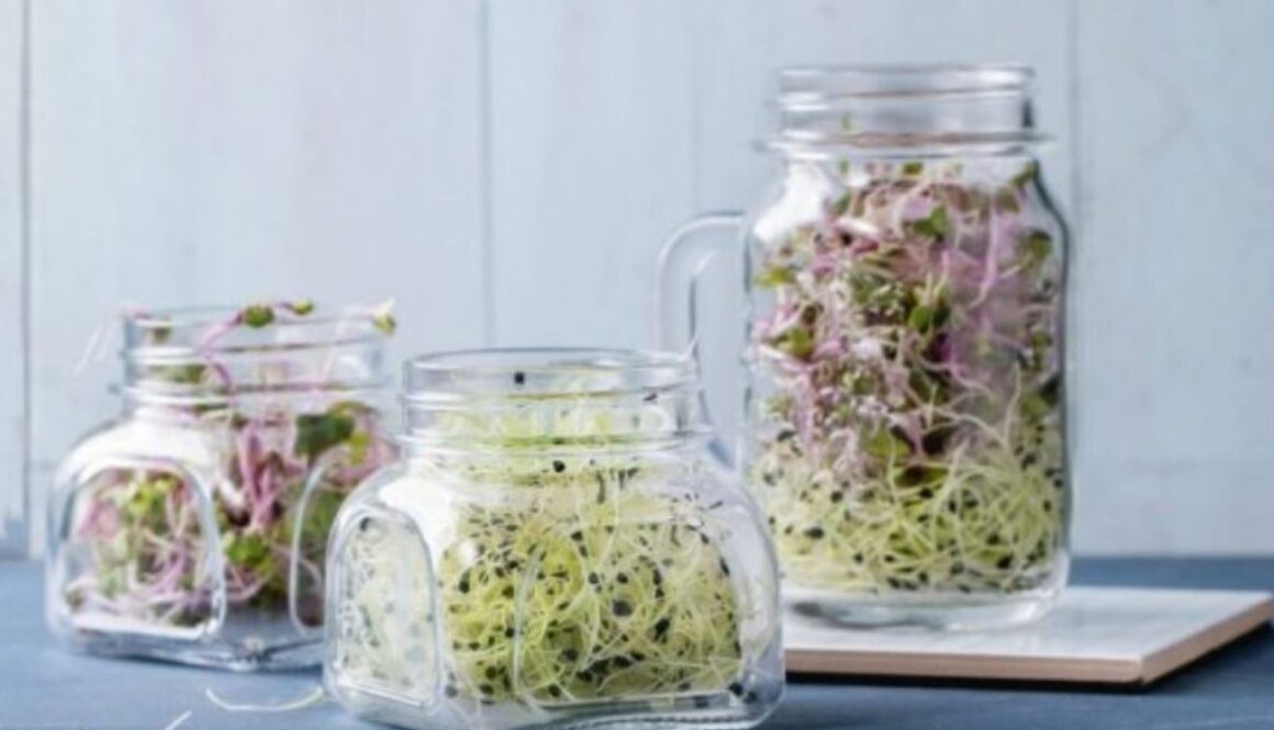 sprouting