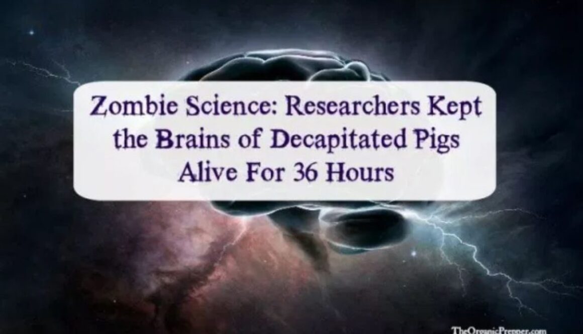 zombie science