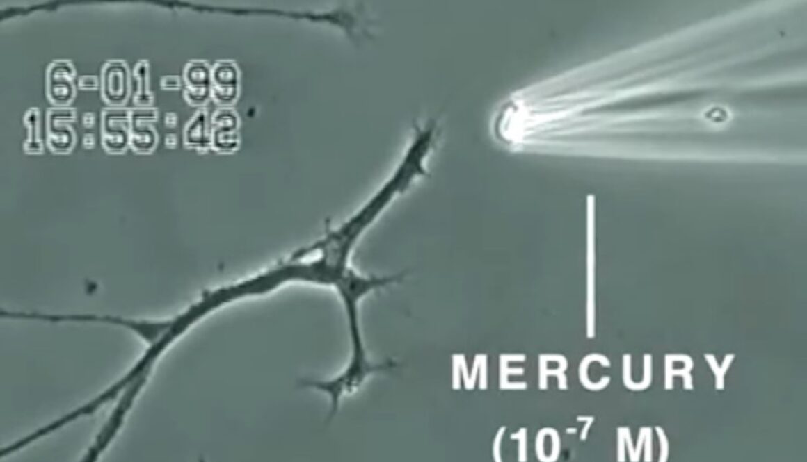 Mercury-Cells