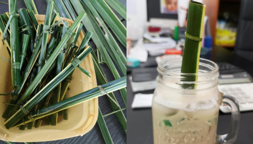 Sarah-Tiu-Lukay-straws-1170x585