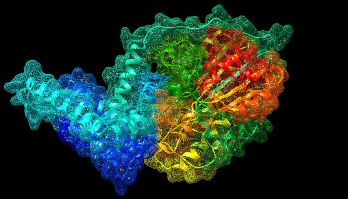 antibiotic resistance gene