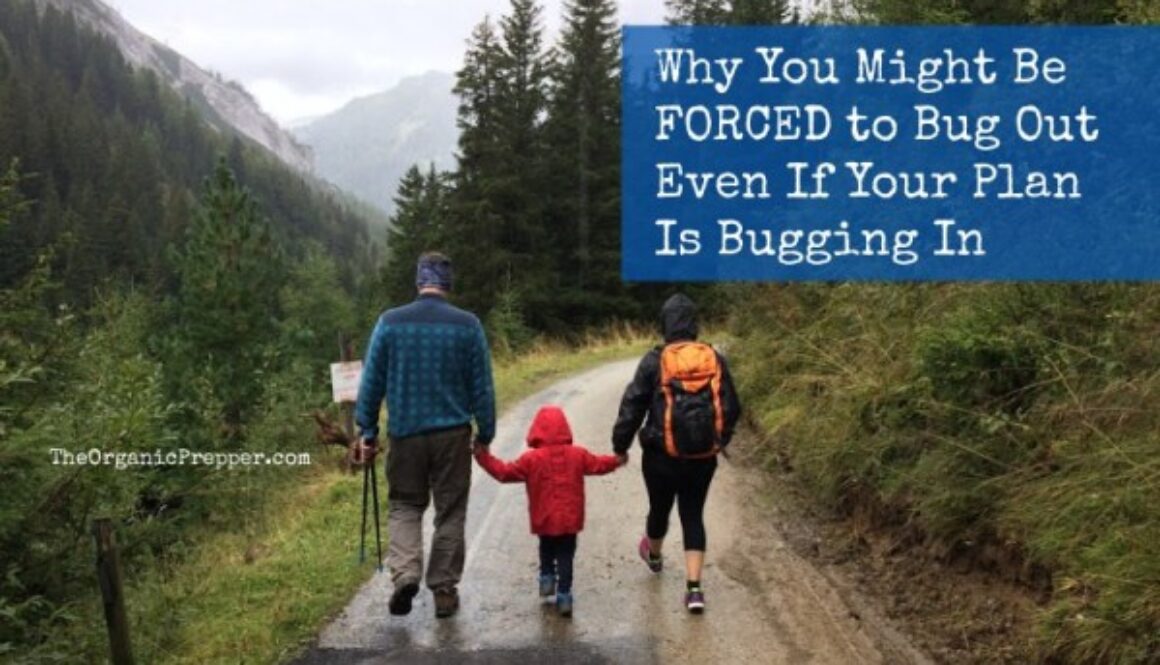 bug out