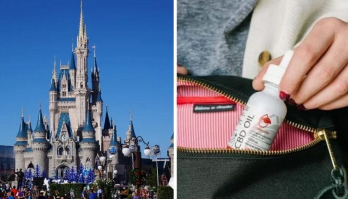 cbdisney