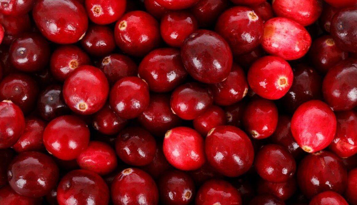 cranberry antibacterial