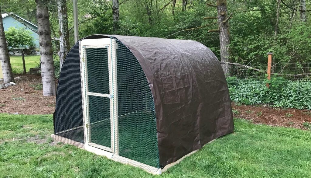diy cattle panel chicken coop