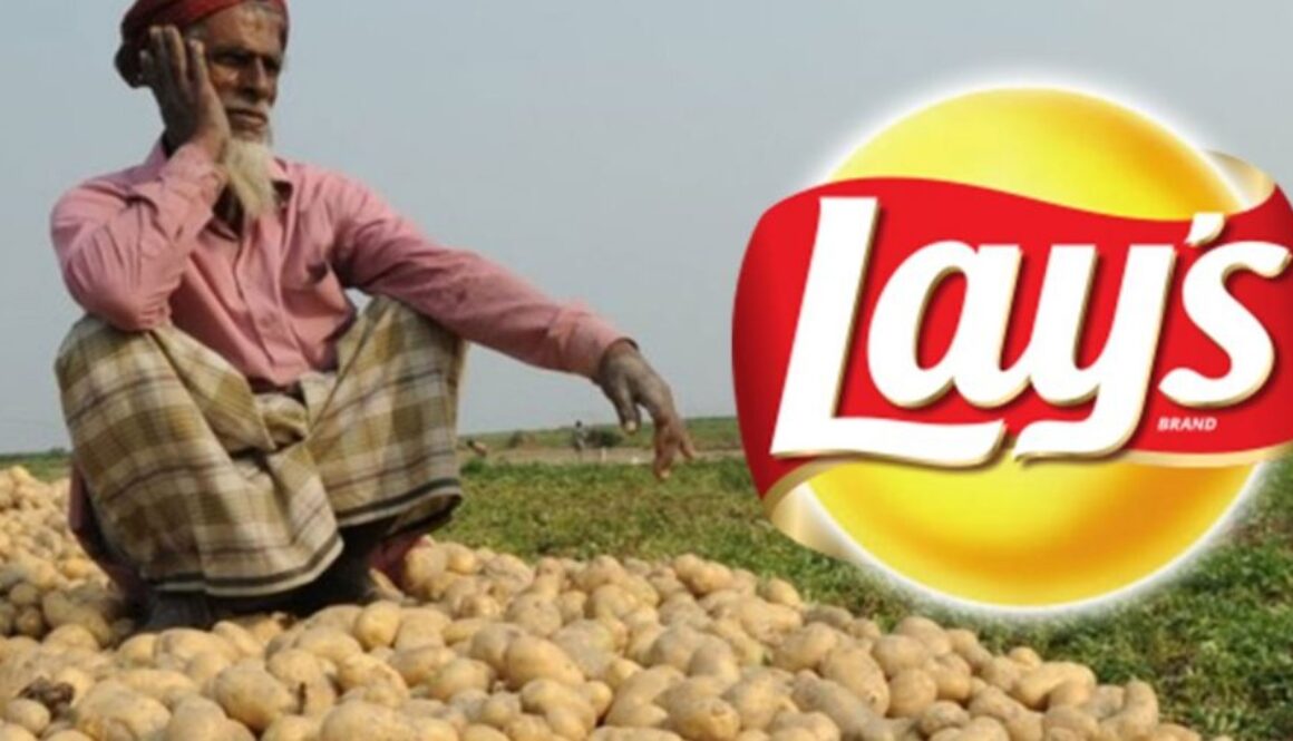 lays india tt