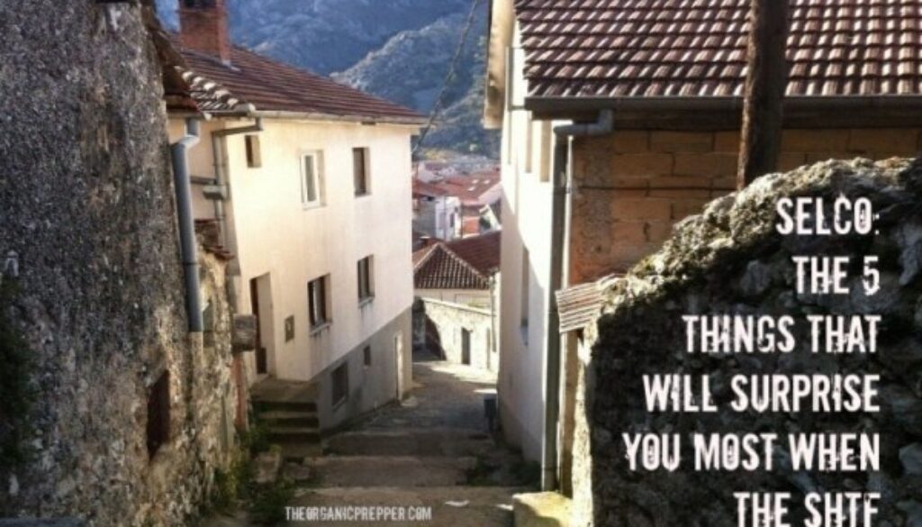 5-Things-That-Will-Surprise-You-Most-When-the-SHTF