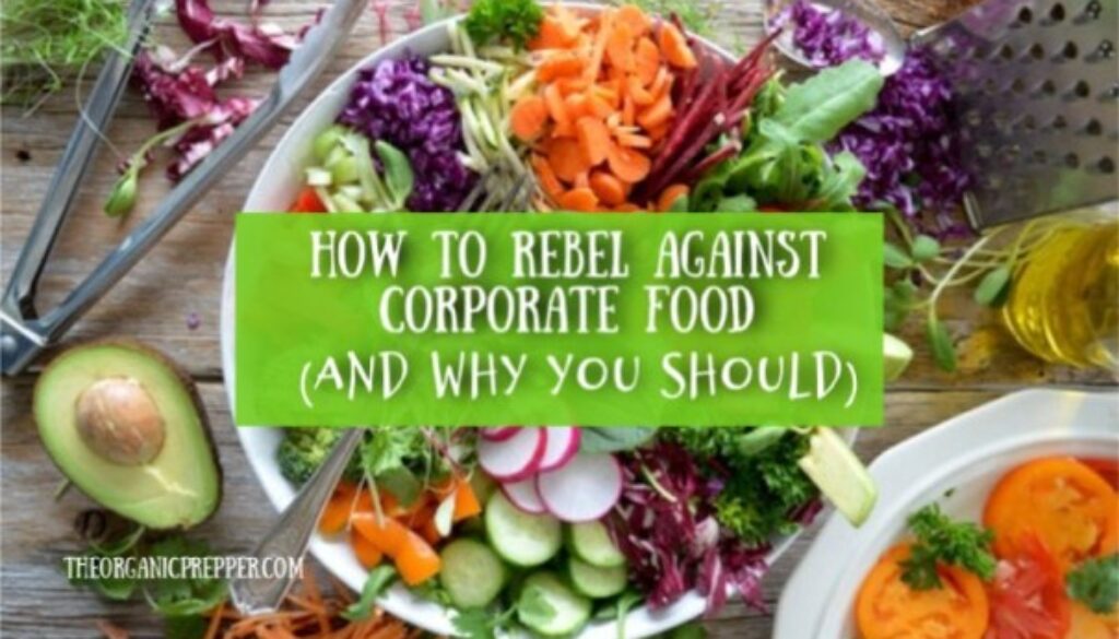 How-to-Rebel-Against-Corporate-Food-and-Why-You-Should