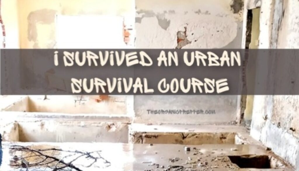 I-Survived-an-Urban-Survival-Course
