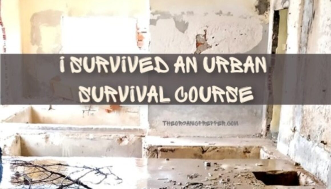 I-Survived-an-Urban-Survival-Course
