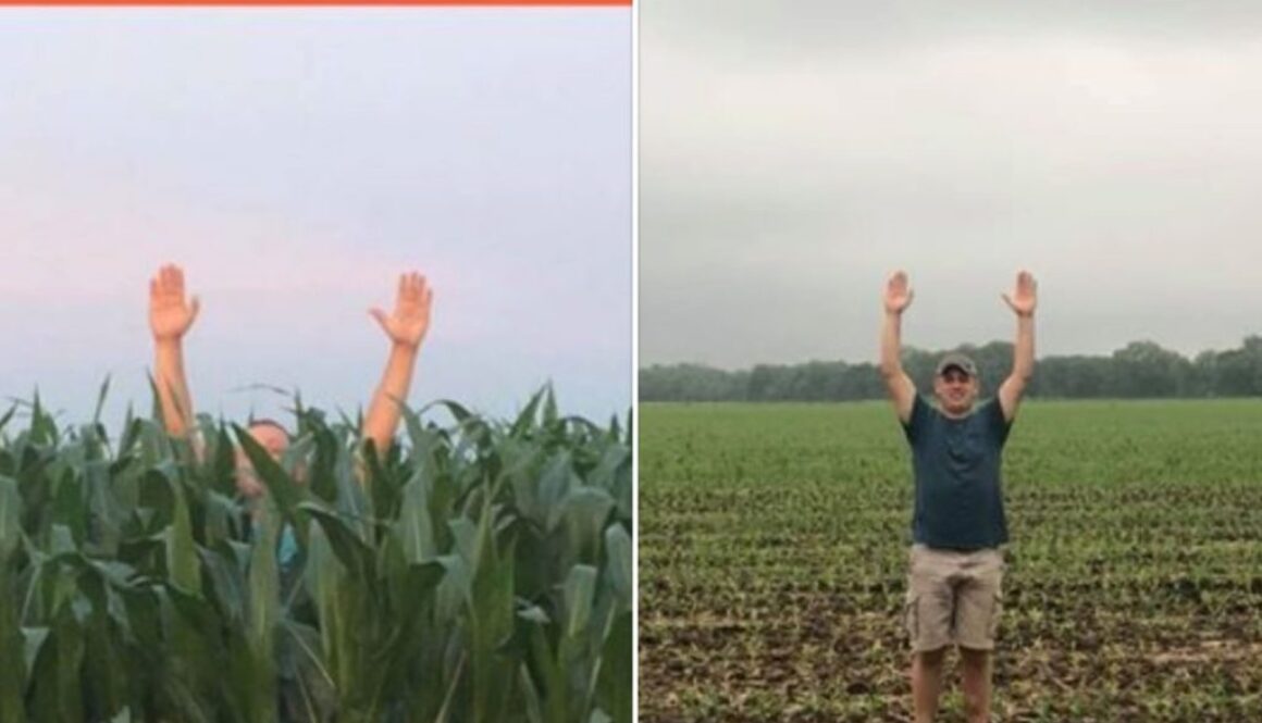 crop failures