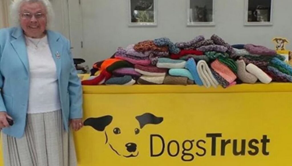 dogs trust TT