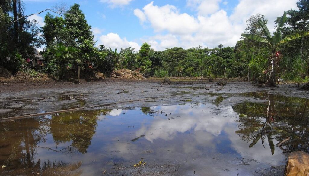 lago oil amazon wikipedia