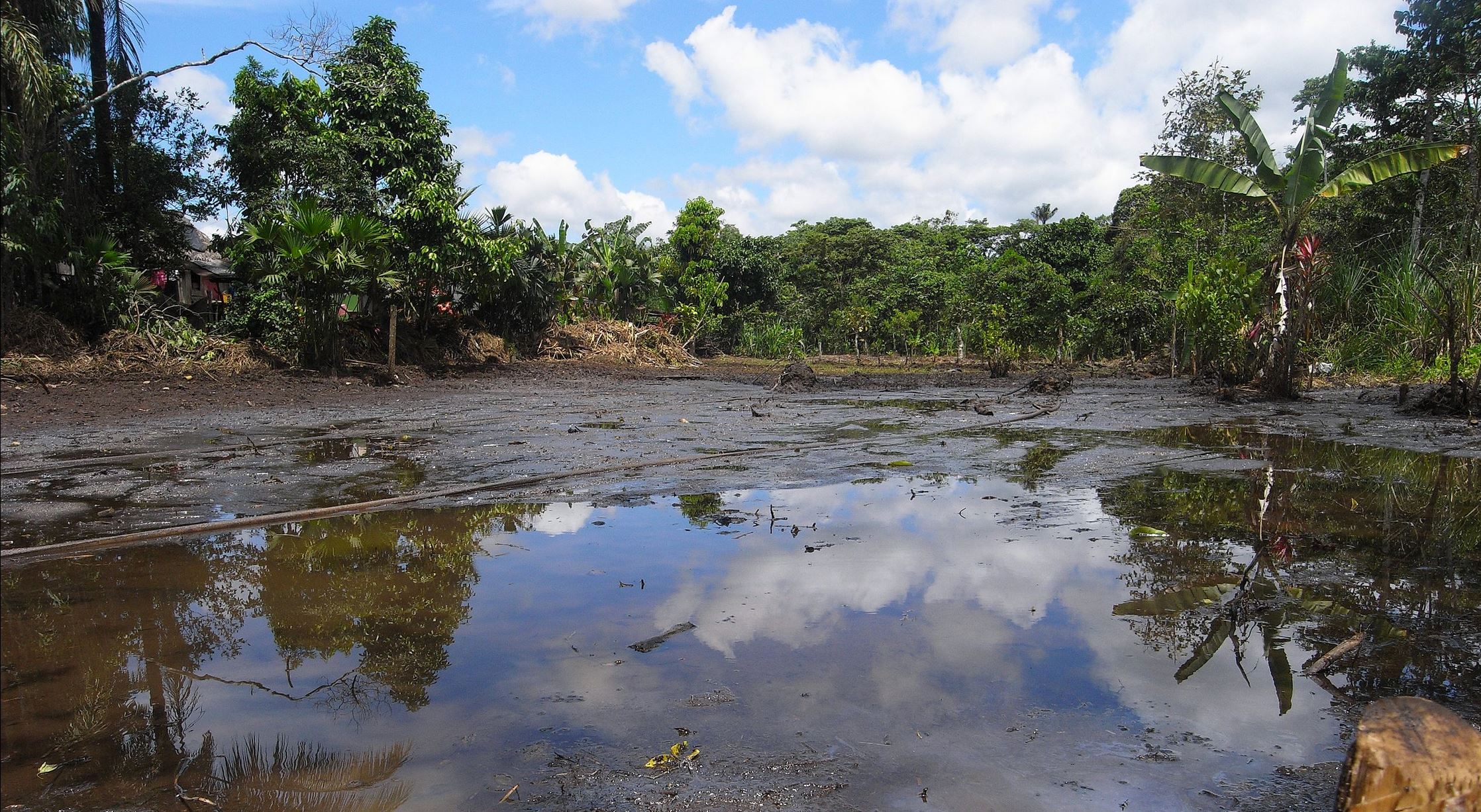 lago oil amazon wikipedia lago oil amazon wikipedia