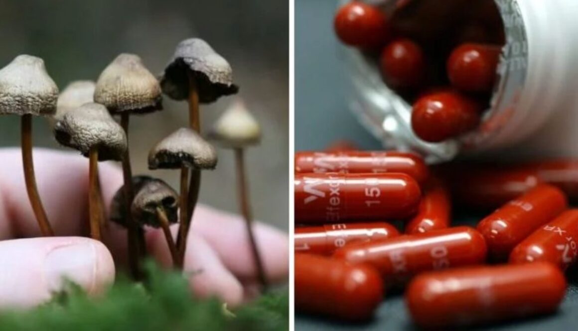 magic mushrooms big pharma TMU