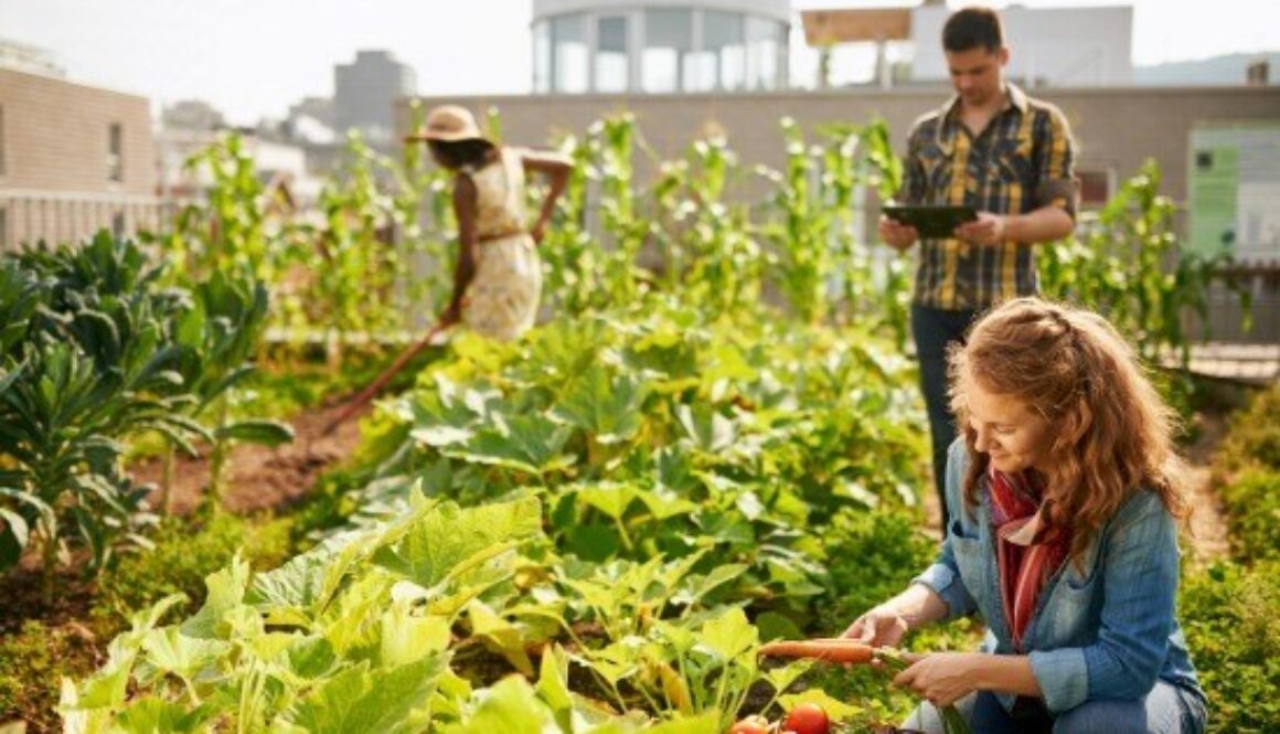 RNgardening