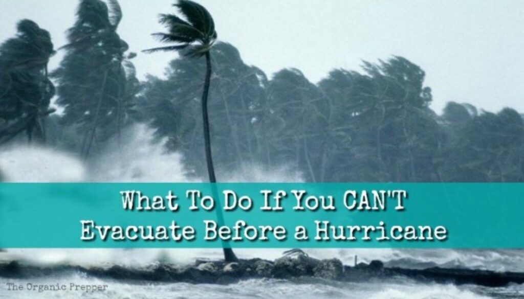 What-To-Do-When-You-Cannot-Evacuate