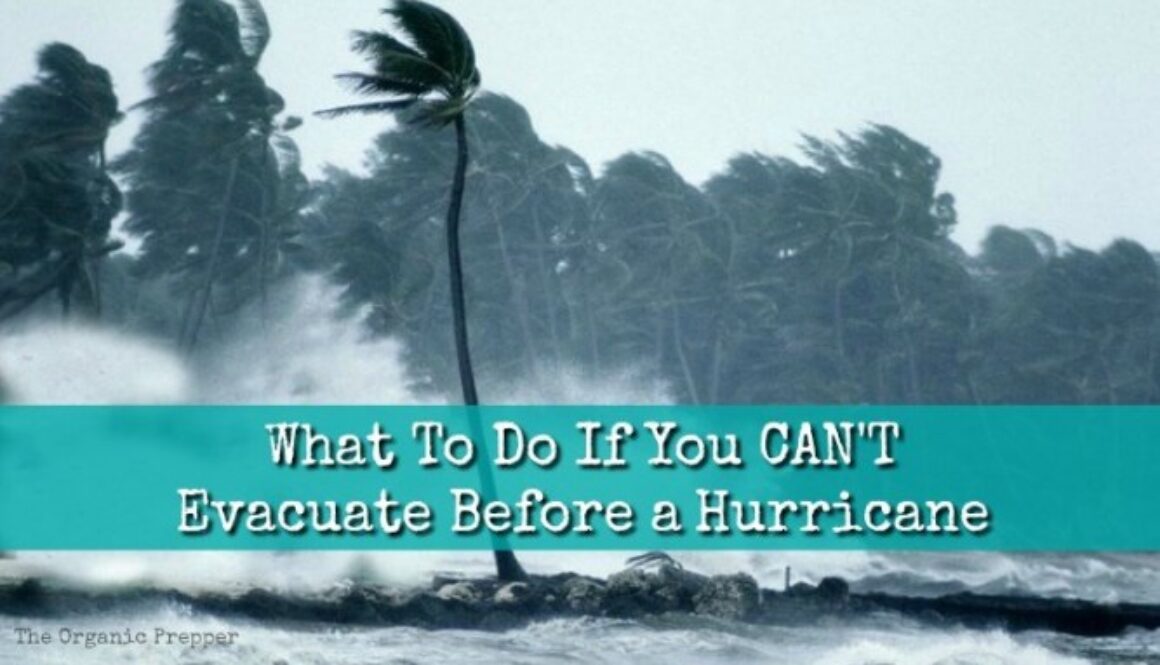 What-To-Do-When-You-Cannot-Evacuate