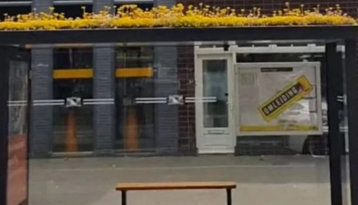 bee stops TMU