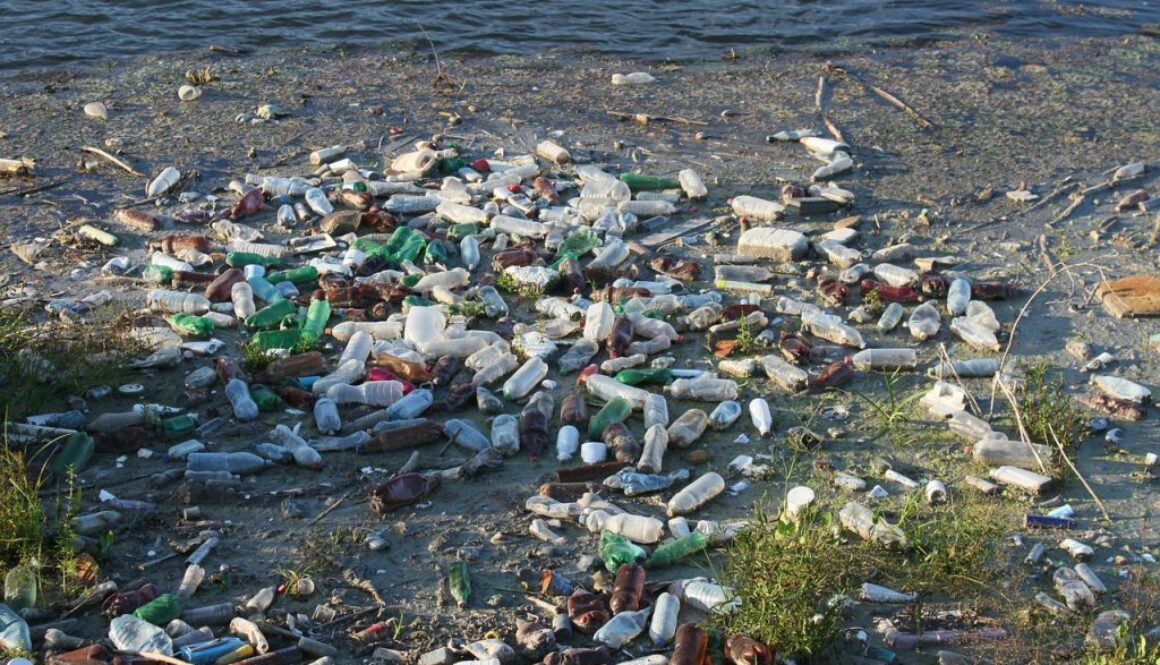 bottles-87342_1280