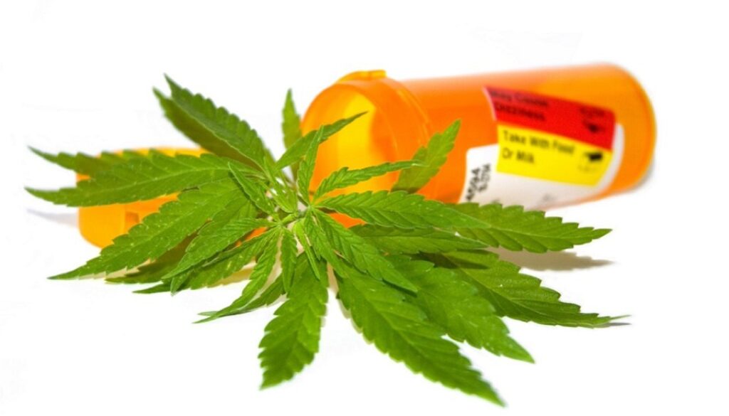 cannabis parkinson's