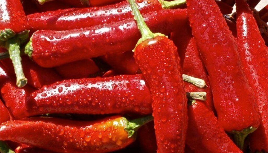 chili-peppers-close-up-red-63603-816x520