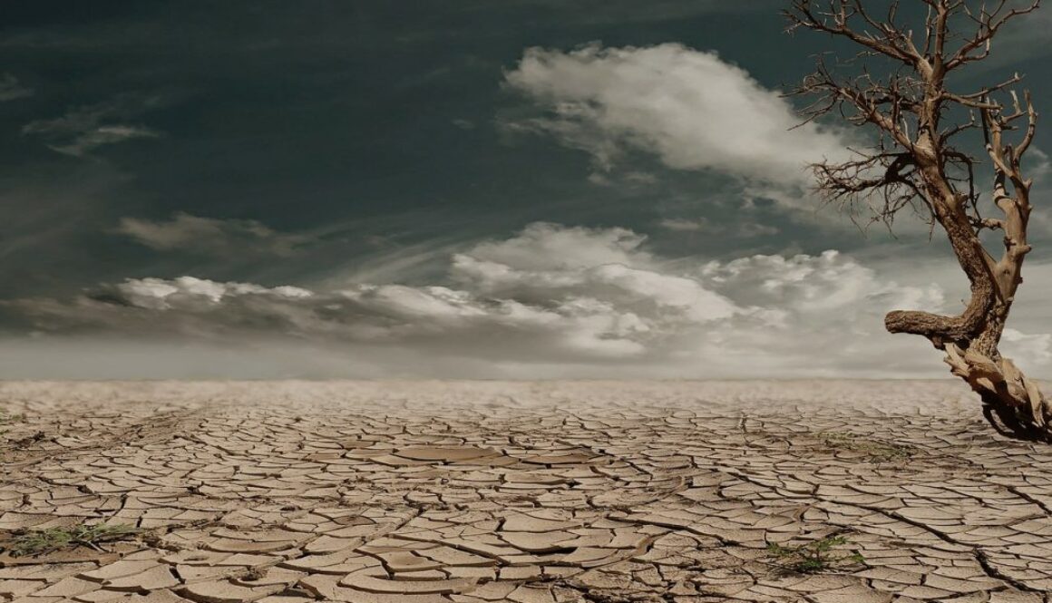 desert-279862_1280