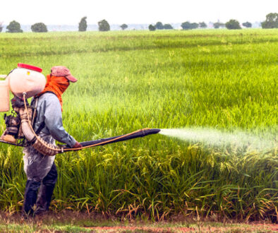 glyphosate-spraying