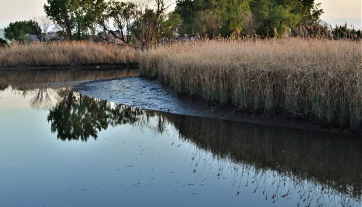 mercury water pollution new jersey meadowlands