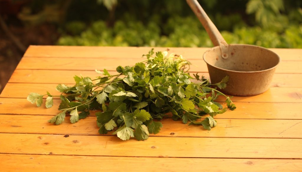 vegetable-753292_1280
