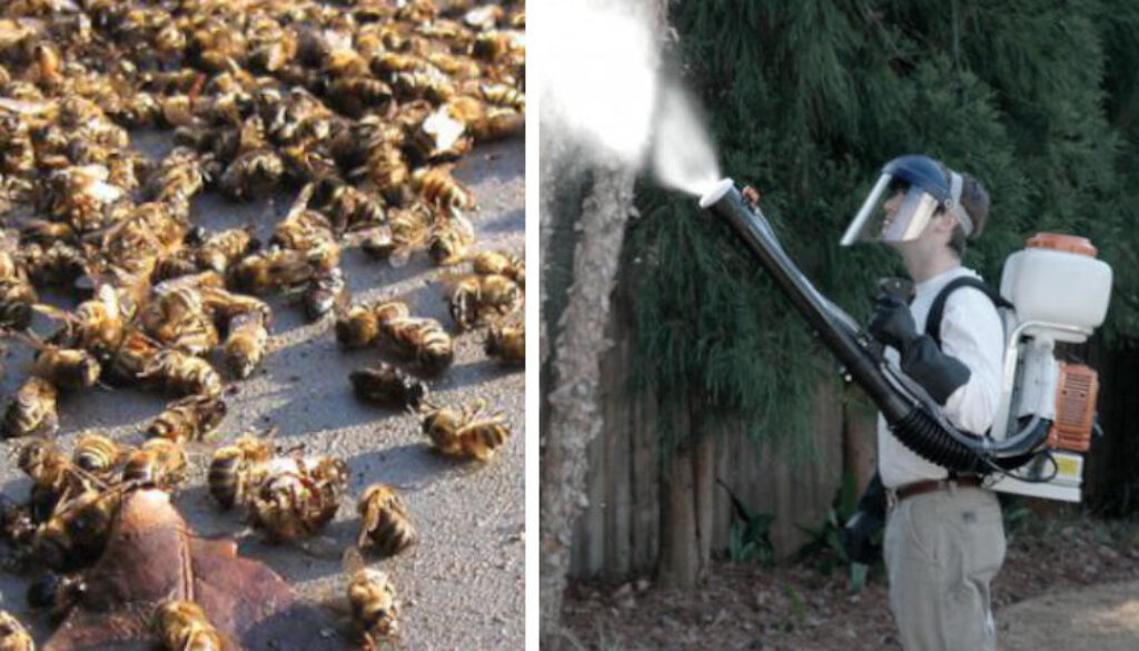Deaad-Bees-Spraying-Pesticides
