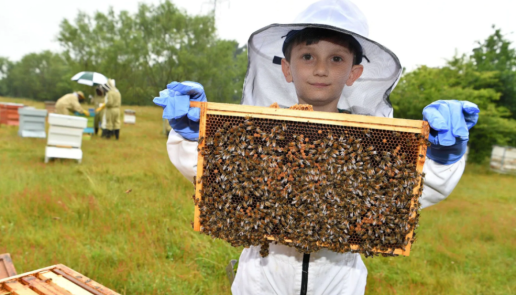 beekeeper TT