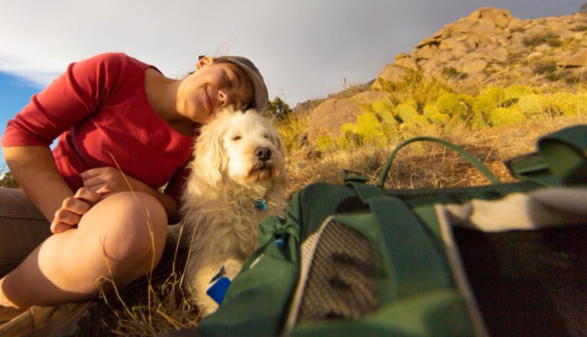 emotional support animals