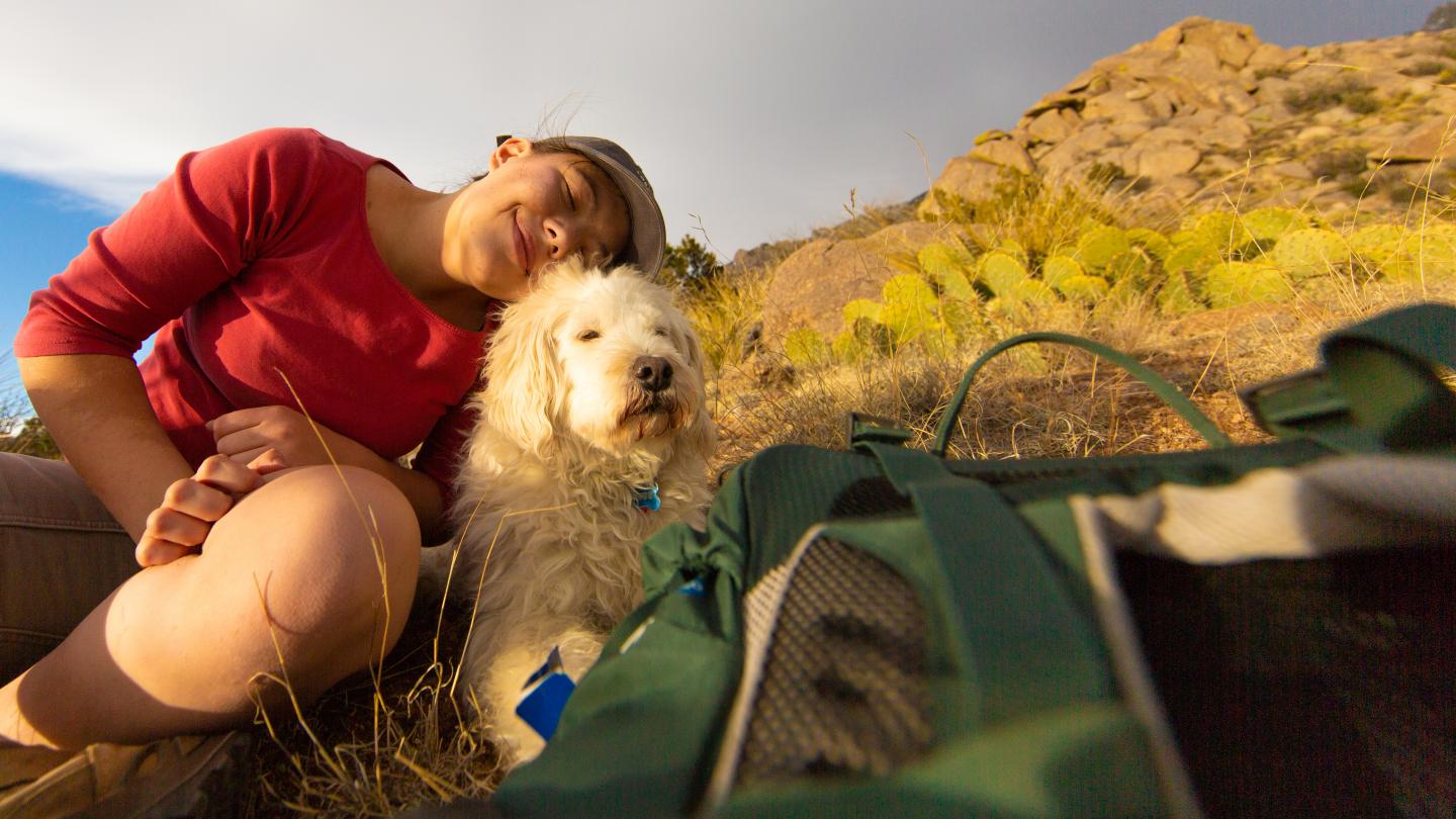emotional support animals