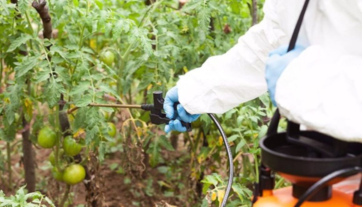 glyphosate CE