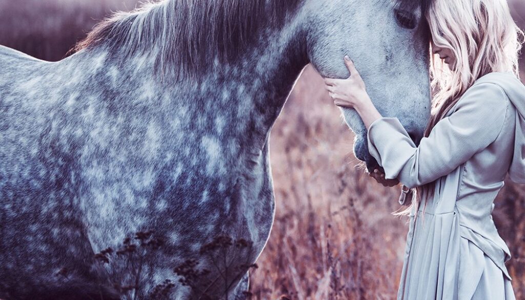 horses