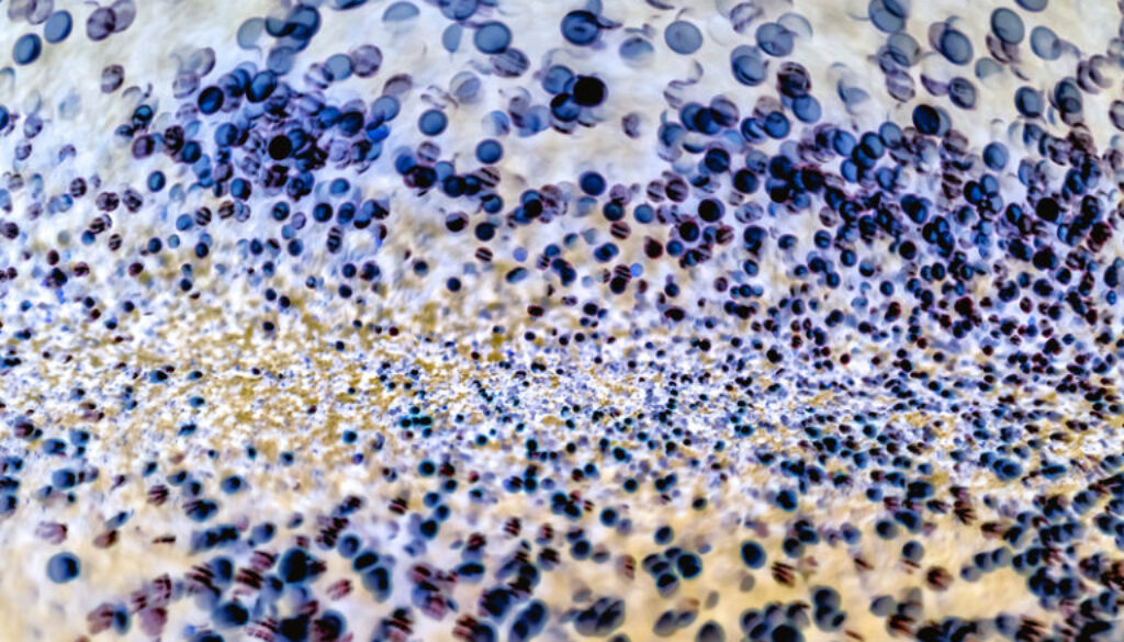 bacteria under the microscope background