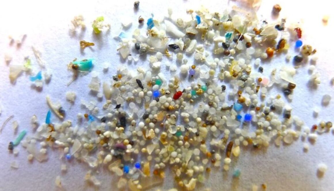 microplastics IL