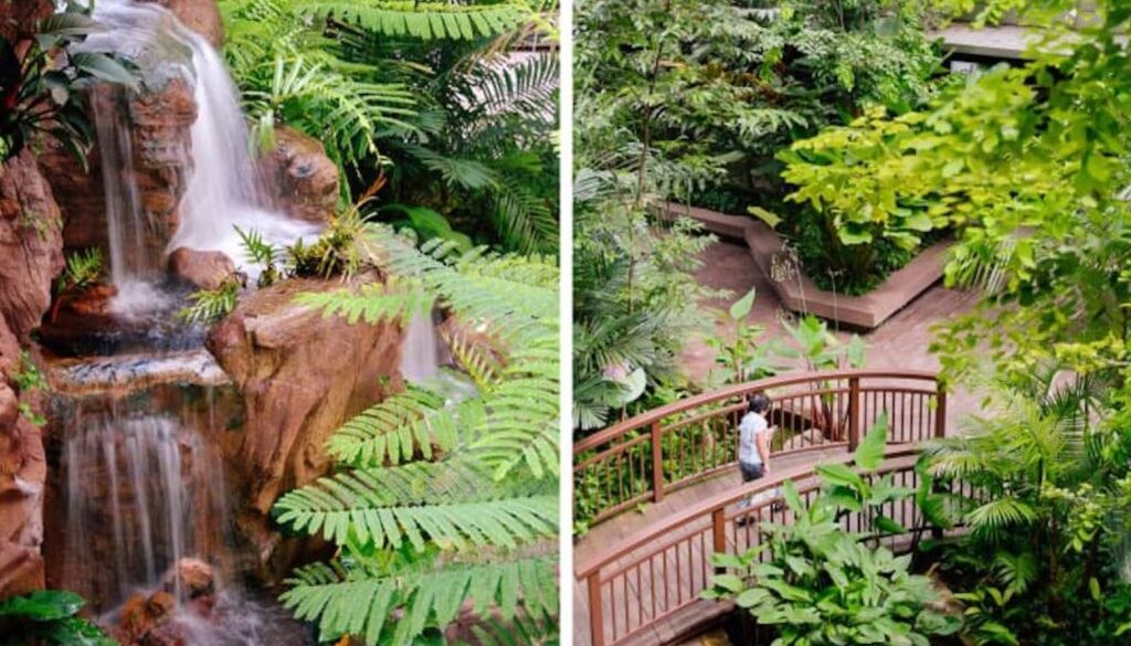 nature hospital CE