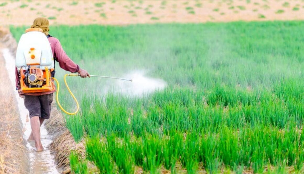 pesticide_sprayingWT
