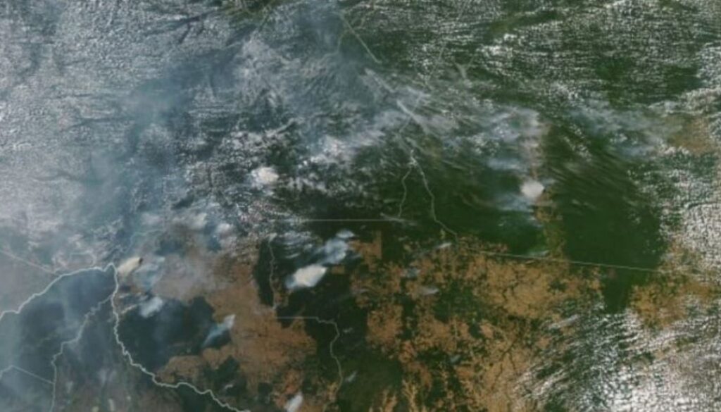 rainforest fire TMU