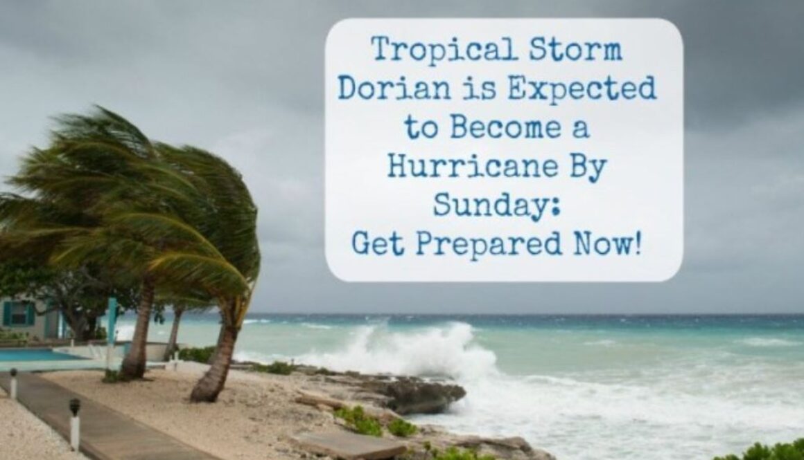 tropical storm dorian