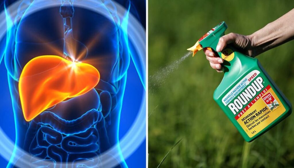 Monsanto-LIVER