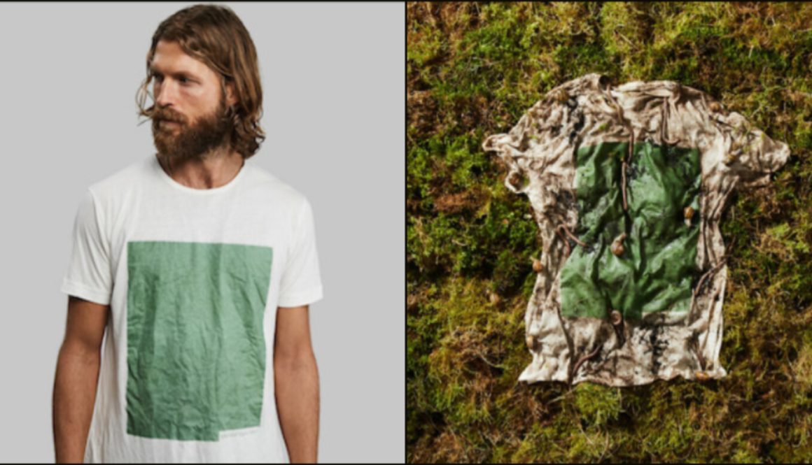 algea-shirt