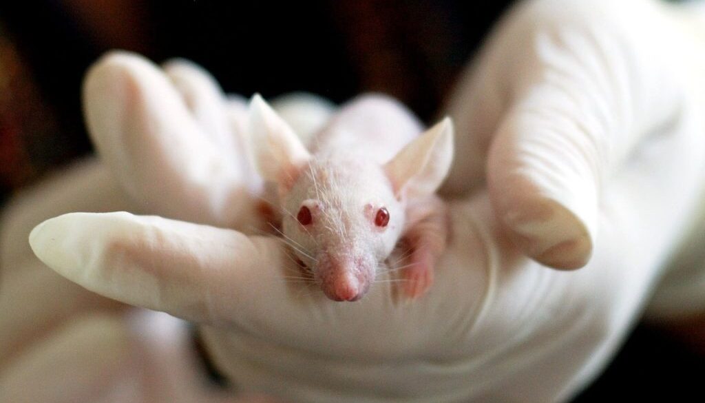 animal testing epa