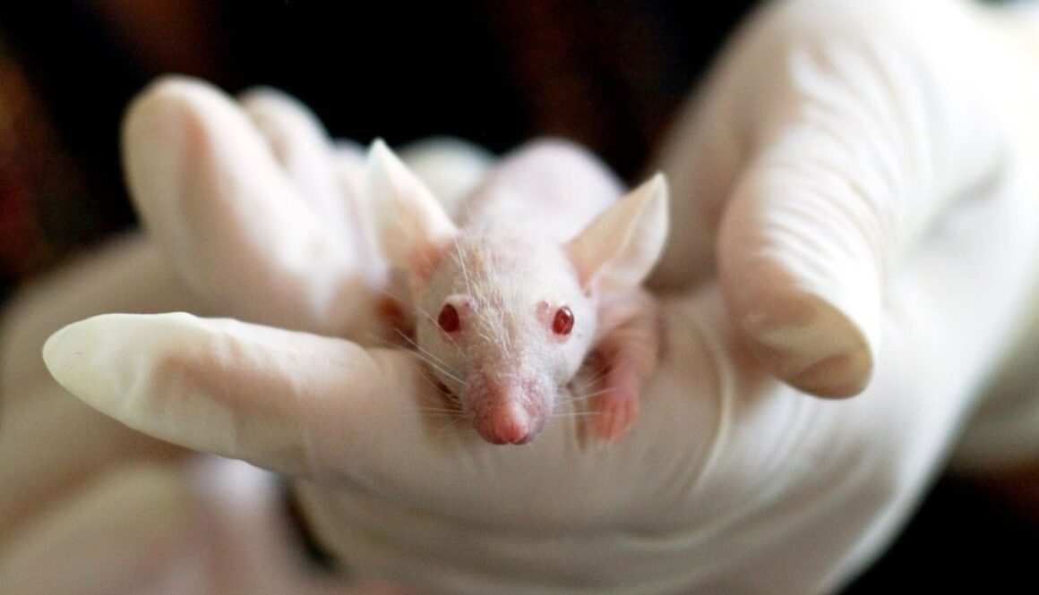 animal testing epa